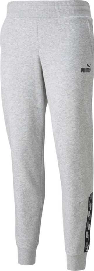 Kelnės moterims Puma Power Pants FL pilka 589546 04 (L)