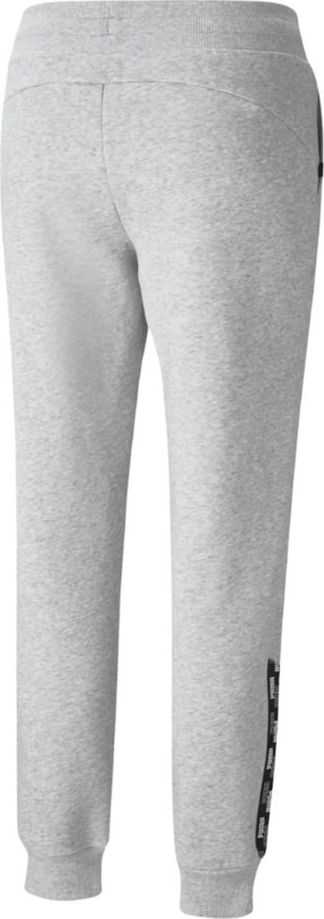 Kelnės moterims Puma Power Pants FL pilka 589546 04 (L)