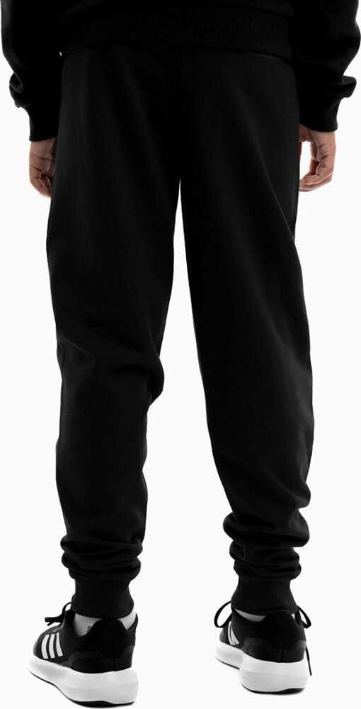 Kelnės vaikams Puma Team Goal juoda 658601 03 (128cm)