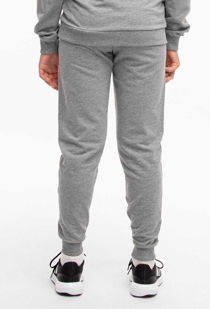 Kelnės vaikams Puma Team Goal pilka 658601 33 (152cm)