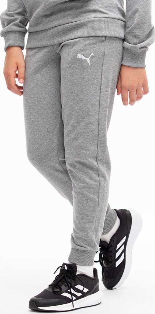 Kelnės vaikams Puma Team Goal pilka 658601 33 (152cm)