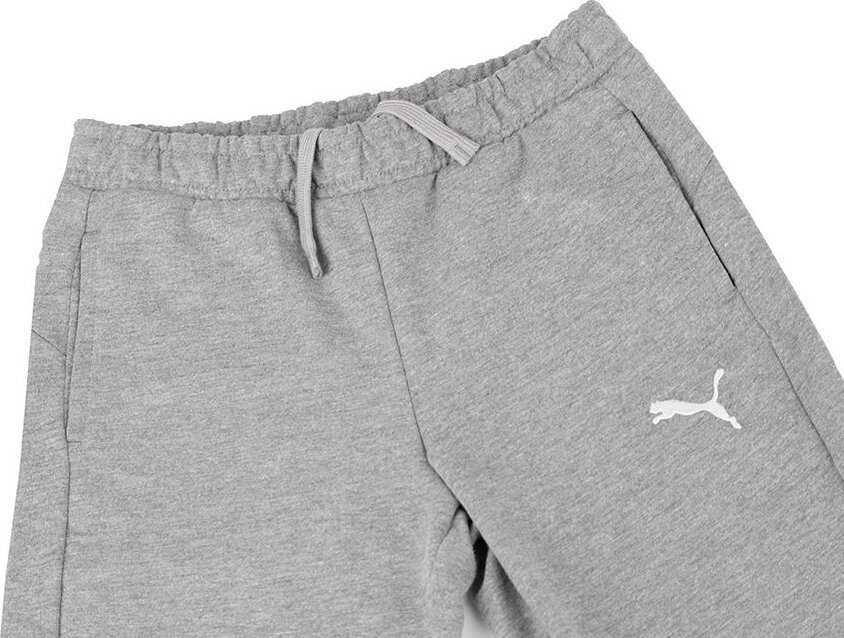 Kelnės vaikams Puma Team Goal pilka 658601 33 (152cm)