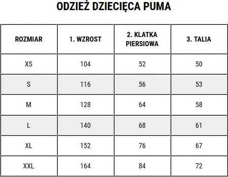 Sportinės kelnės vaikams Puma Team Rise Poly Junior 657391 03, juodos