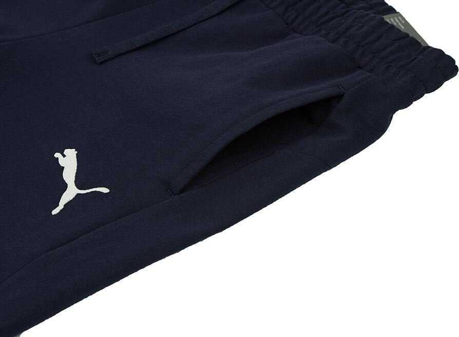 Kelnės vyrams Puma Team Goal Casuals tamsiai mėlyna 658598 06 (S)