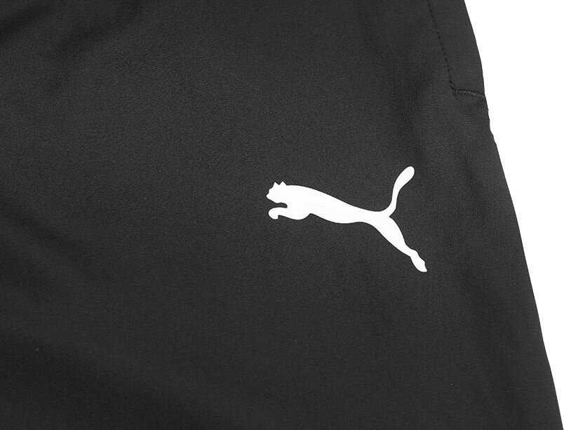 Puma teamRise Sideline kelnės M 657327 03