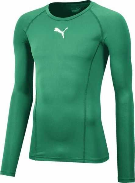 Vyriški marškinėliai Puma Liga Baselayer Tee LS žalia 655920 05 (L)