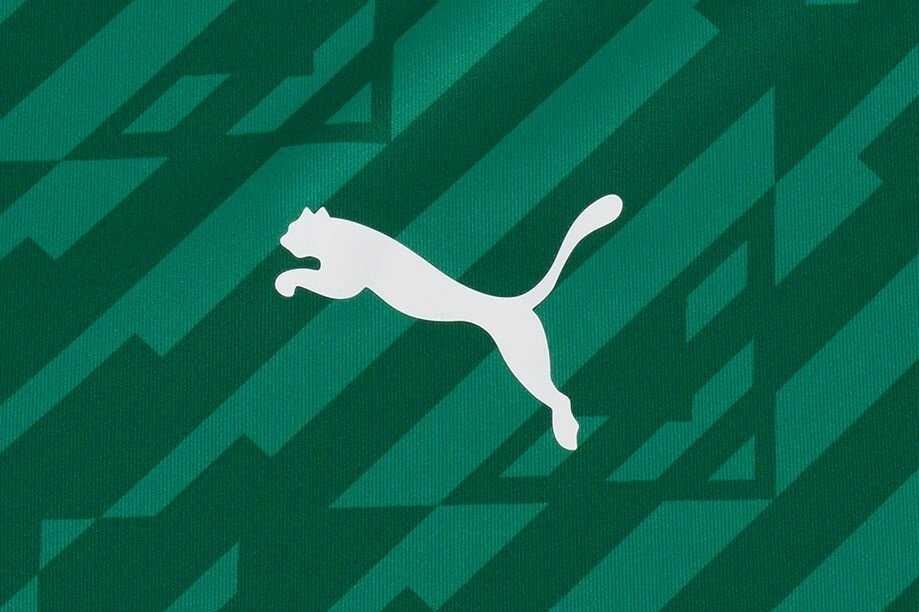 Vyriški marškinėliai Puma teamULTIMATE žalia 705371 05 (M)