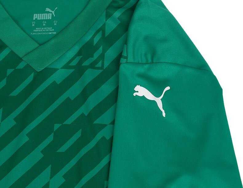 Vyriški marškinėliai Puma teamULTIMATE žalia 705371 05 (M)