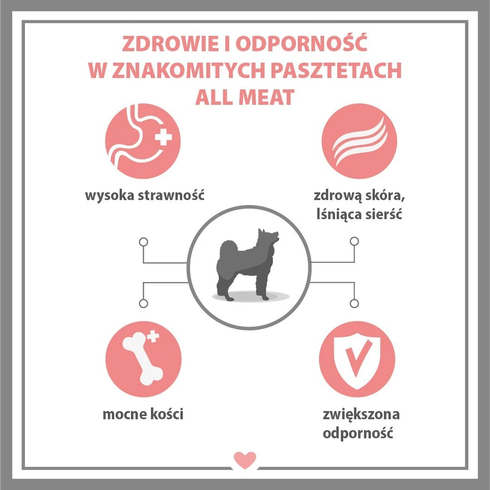 PUPIL Premium All Meat Gold antiena – drėgnas ėdalas šunims – 800g