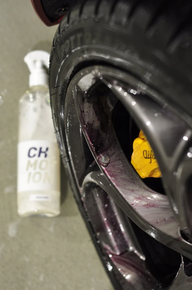Chemotion Iron Less deironizatorius valymo procese
