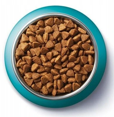 Purina Nestle Kačių Maistas - PURINA One Suaugusiųjų Vištienos Sausas Kačių Maistas 9.75kg