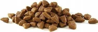 Purina Nestle One Bifensis Senior 7+ – sausas kačių maistas – 800g