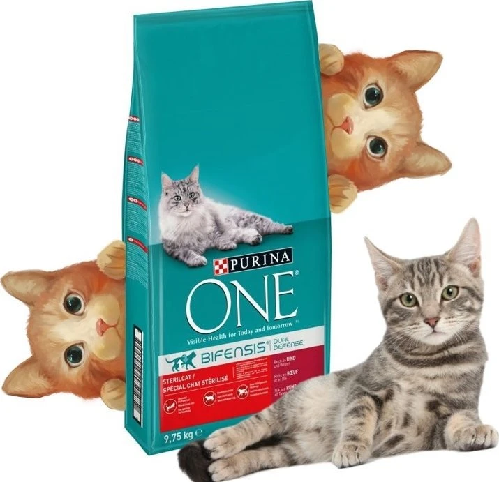 Purina Nestle Sausas kačių maistas - Purina One Sterilcat Jautiena 9,75 kg