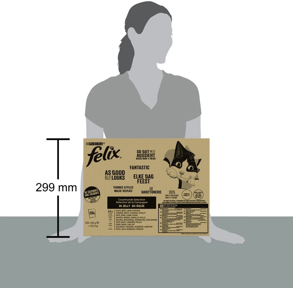 Purina Nestle PURINA FELIX FANTASTIC Mix Country Skonis 120x85g
