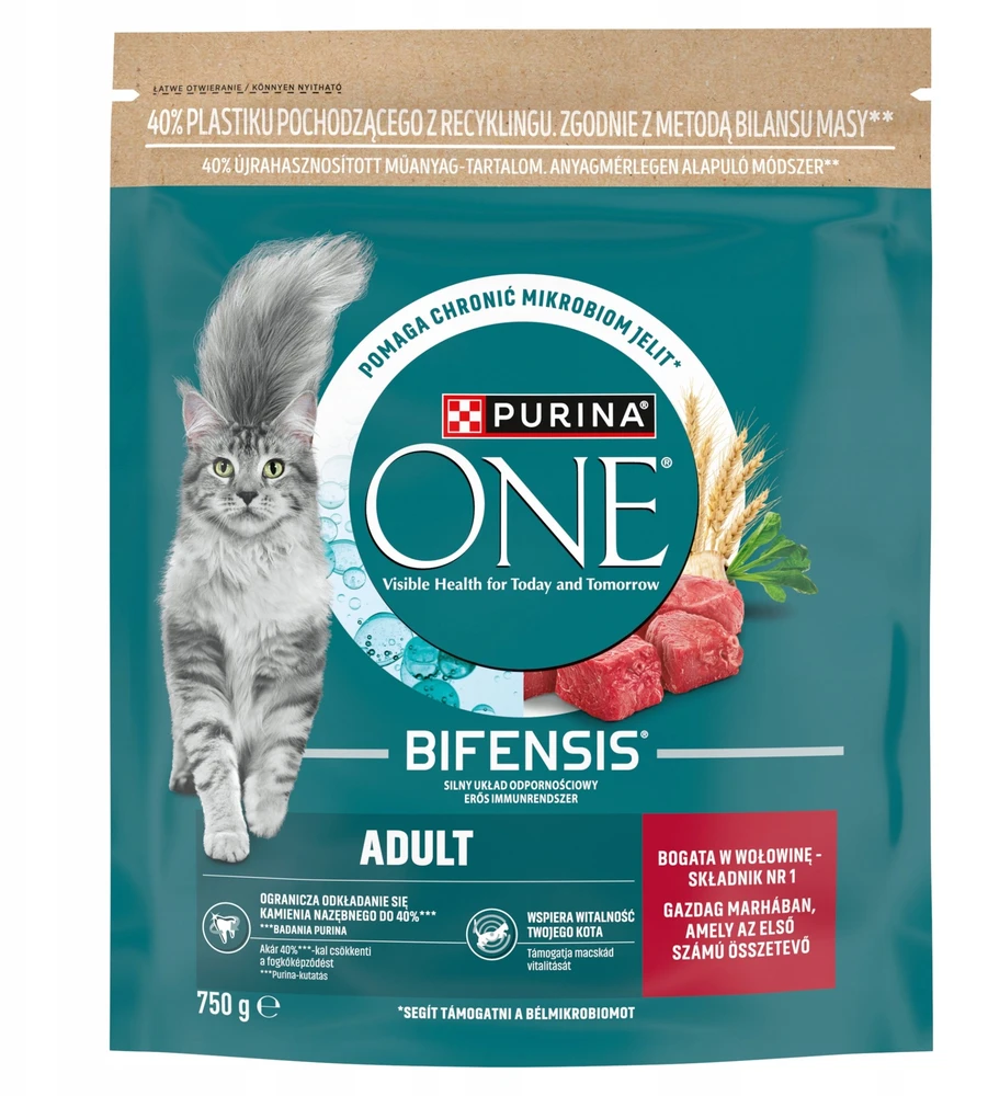 Purina Nestle One Bifensis Adult Rich in jautiena – sausas kačių maistas – 750g