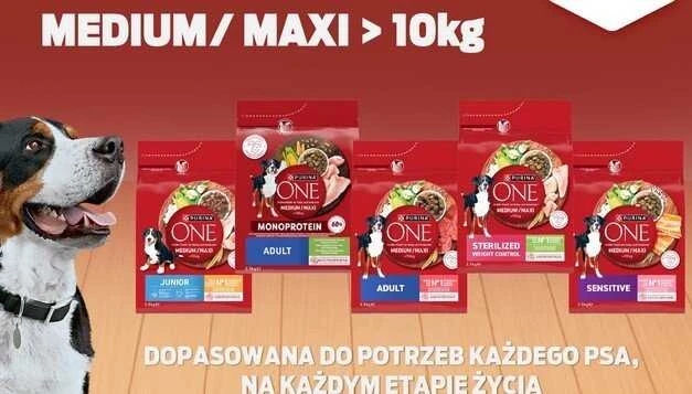 Purina Nestle ONE Medium/Maxi Junior vištiena & ryžiai 7kg