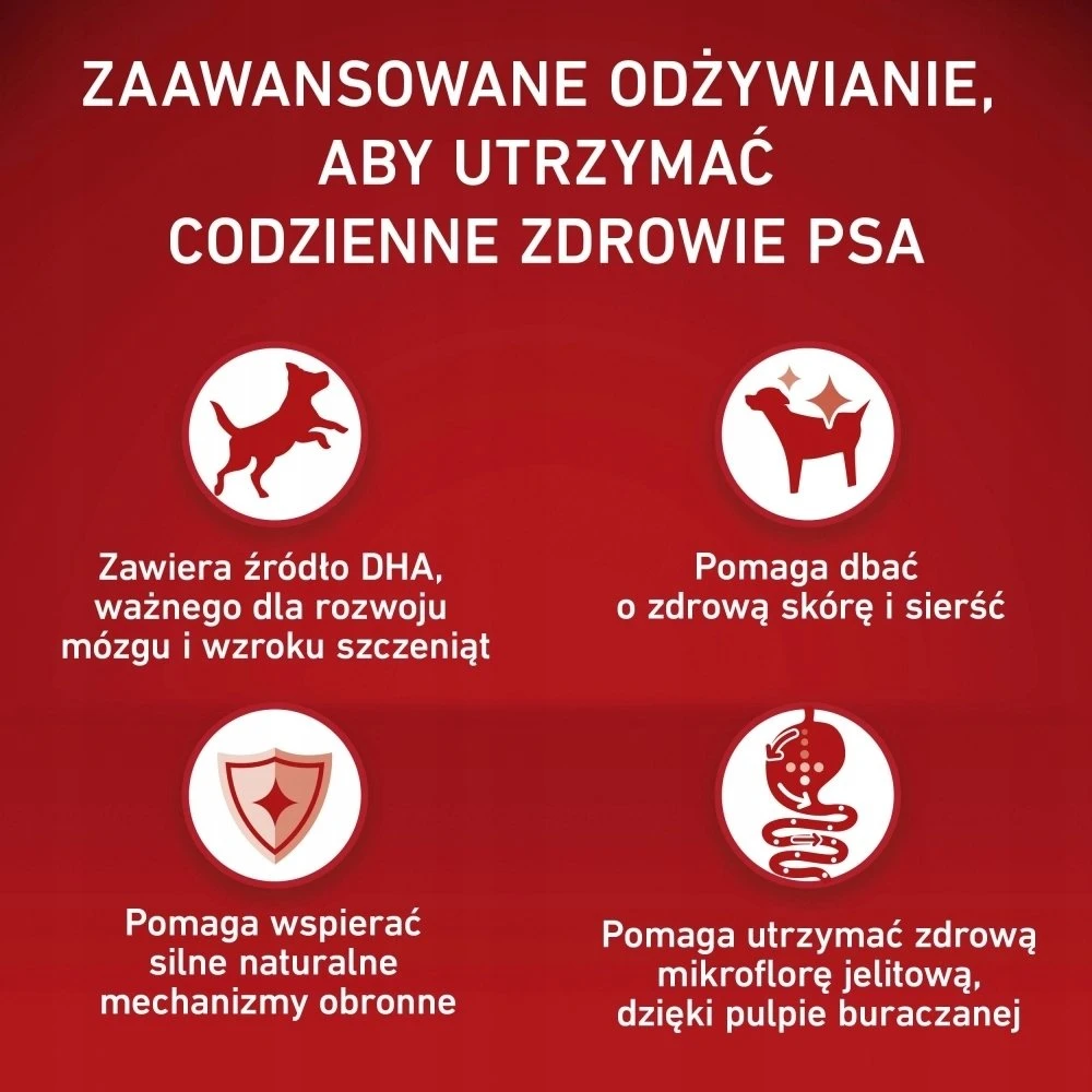 Purina Nestle ONE Medium/Maxi Junior vištiena & ryžiai 2,5kg