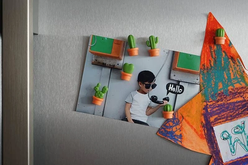 Qualy Magnesy na lodówkę Kaktus oranžinė-žalia 6 dalys
