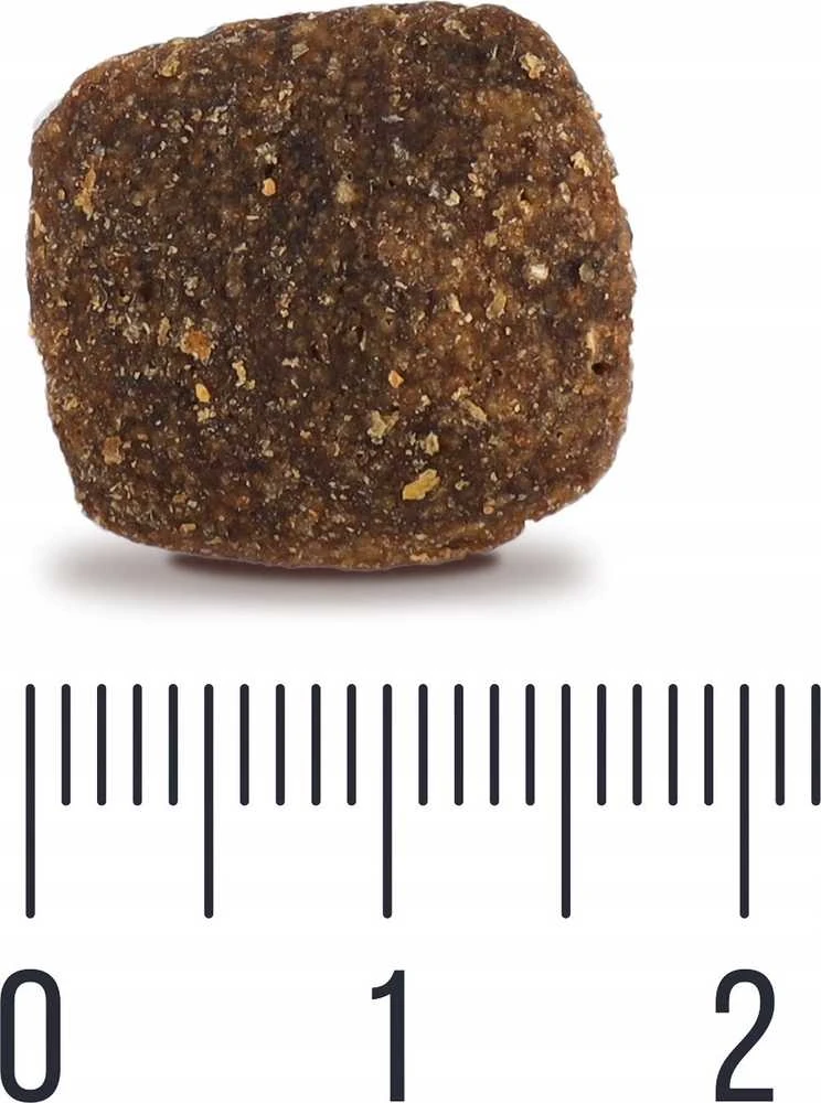 Quattrobi QUATTRO begrūdis visų veislių suaugusių šunų pašaras su ėriena monoproteinas, 12kg