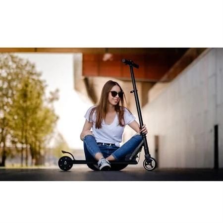 Elektrinis paspirtukas Quer Fast Wheels
