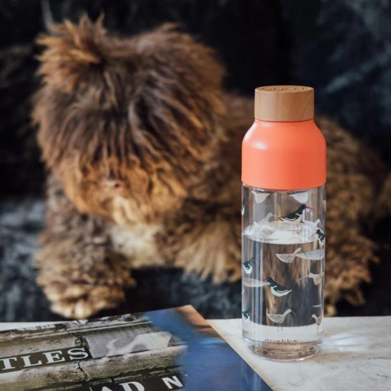 „Quokka Ice“ – „Ecozen Vanduo“ buteliukas, 720 ml (paukščiams)