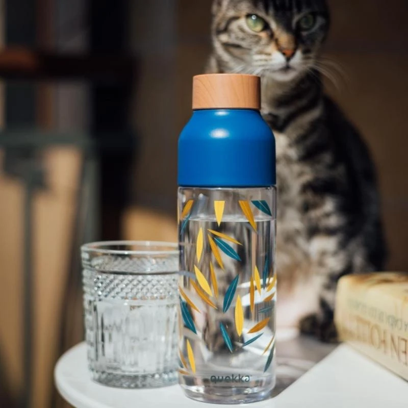 Gertuvė „Quokka Ice“ – „Ecozen Vanduo“ butelis 720 ml (bambukinis)