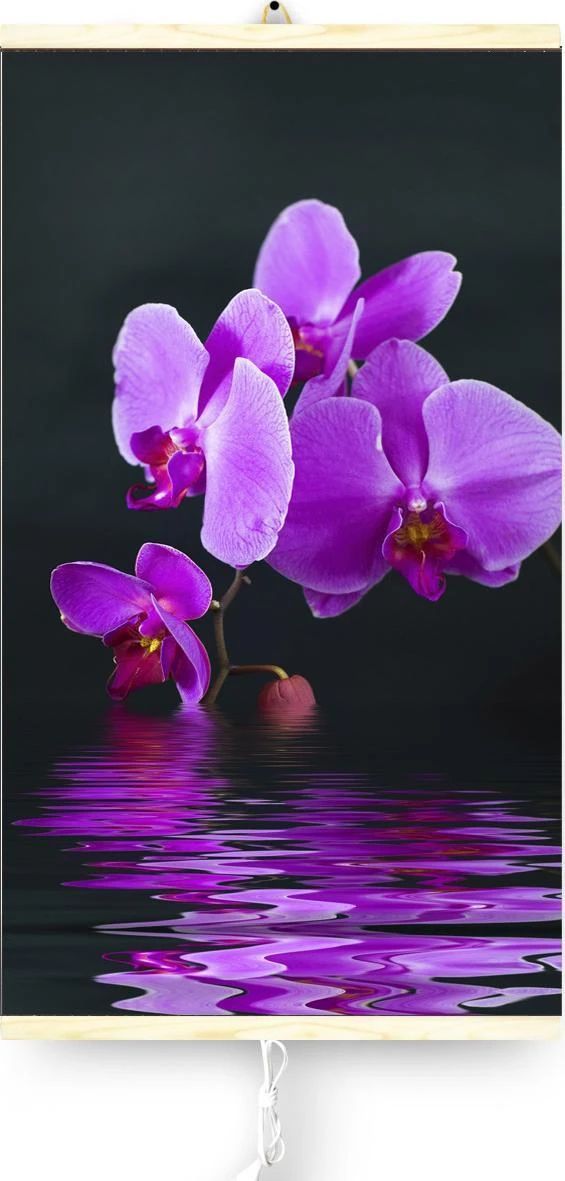 Naujos kartos ilgųjų infraraudonųjų spindulių šildytuvas orchidėja