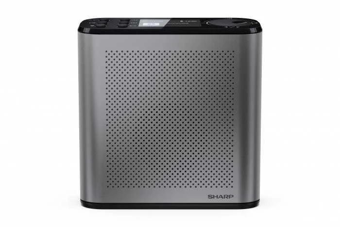 Sharp OSAKA Portable Digital Radio | DR-P530(GY) | USB port | Bluetooth | FM radio | Belaidė jungtis