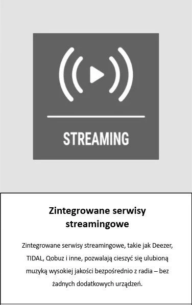 TELESTAR TOP 300 mediniai daugiafunkciniai stacionarūs radijo imtuvai