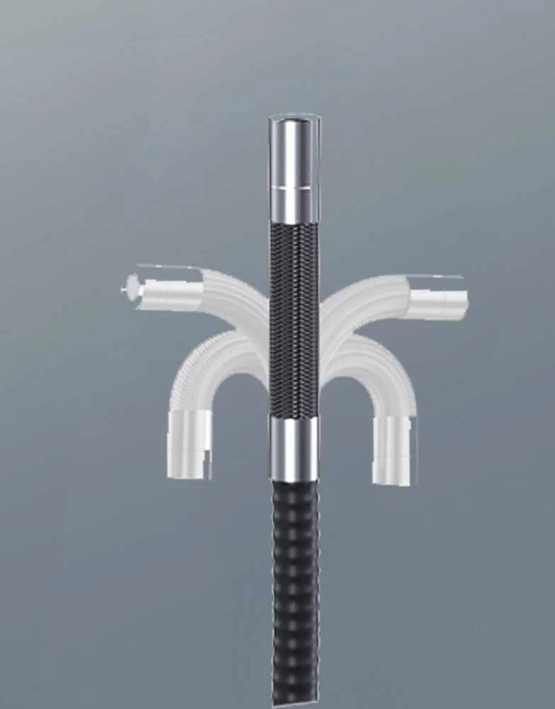 Ralcam endoskopas Boroskopas R208