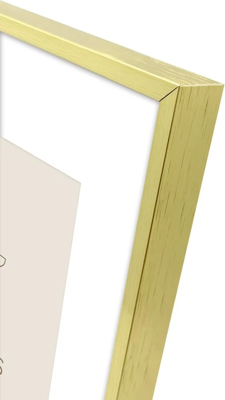 Nuotraukų rėmelis Ramka Focus Aster Gold 18x24/PP 13x18