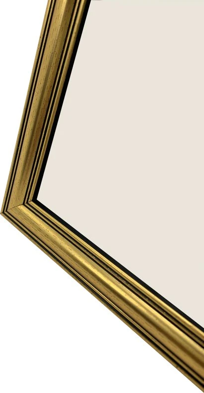 Nuotraukų rėmelis Ramka Focus Holly Gold 18x24