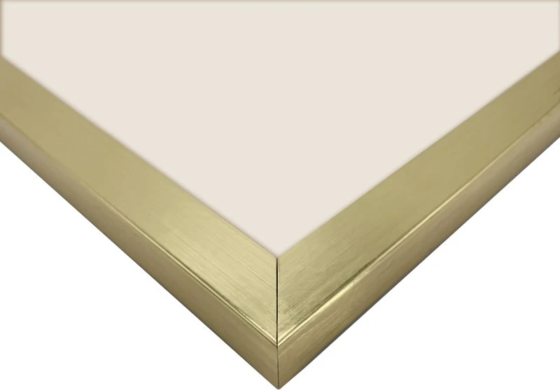 Nuotraukų rėmelis Rėmelis Focus Ivy Gold 30x40