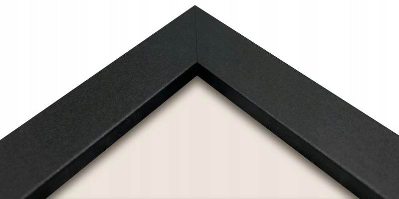 Ramka Focus Ivy Juodas 24x30