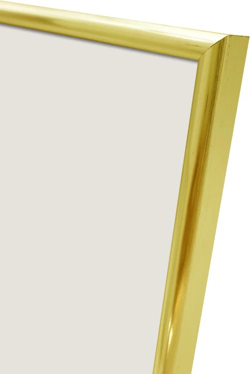 Nuotraukų rėmelis Ramka Focus Lily Gold 29,7x42 (A3)