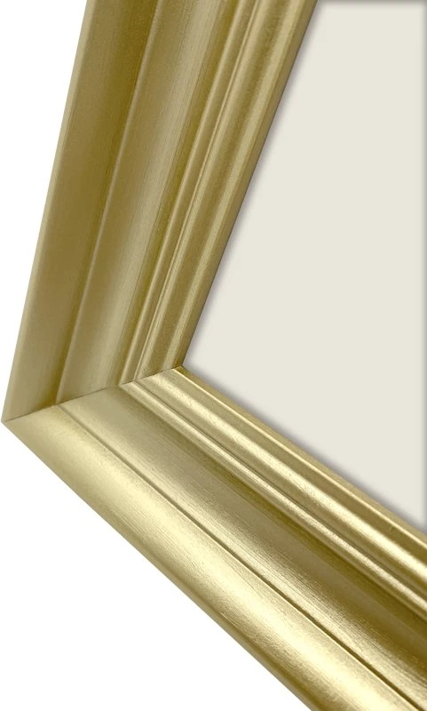 Nuotraukų rėmelis Ramka Focus Lotus Gold 18x24