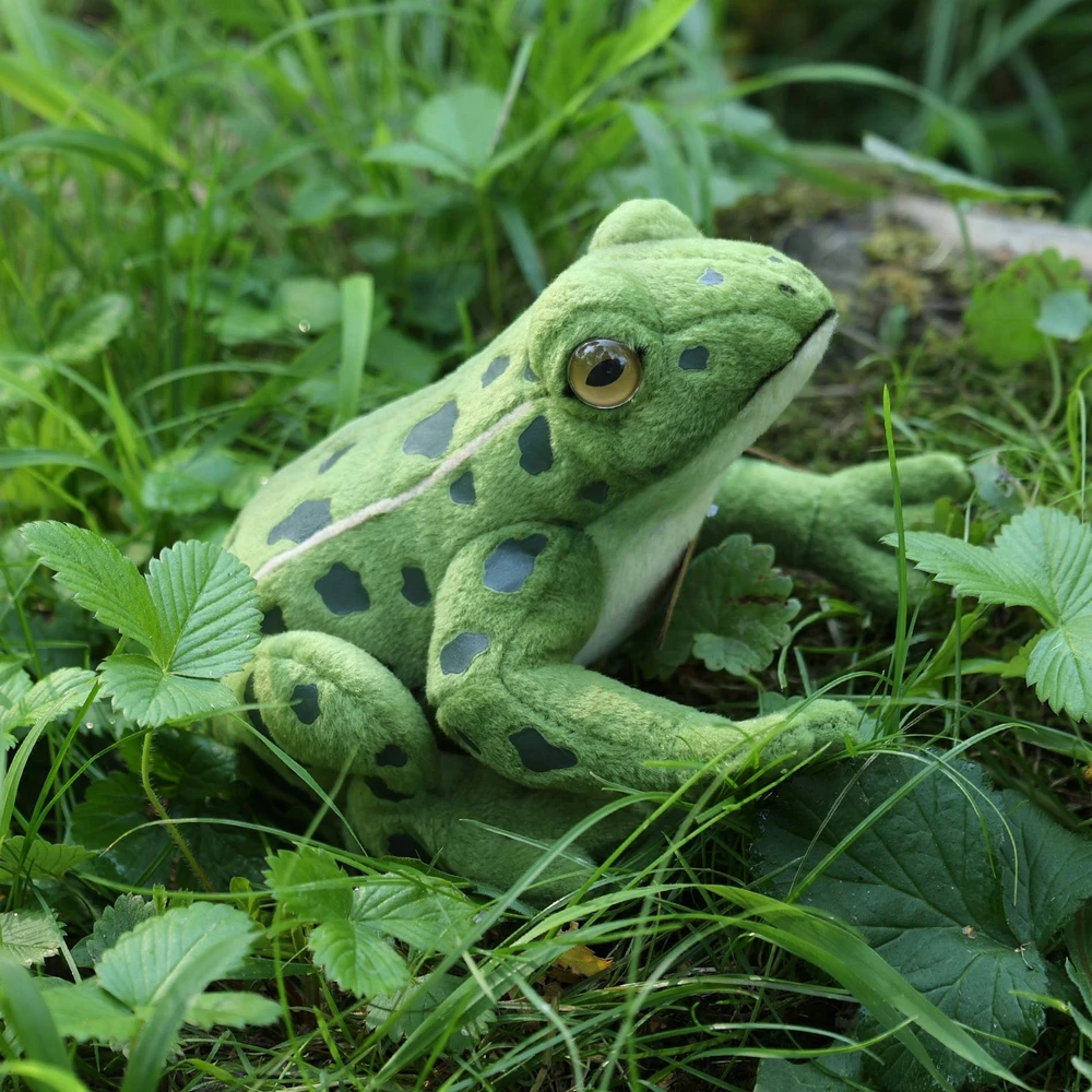 Rappa Eco-Friendly Pliušinis žaislas - varlė, 19 cm
