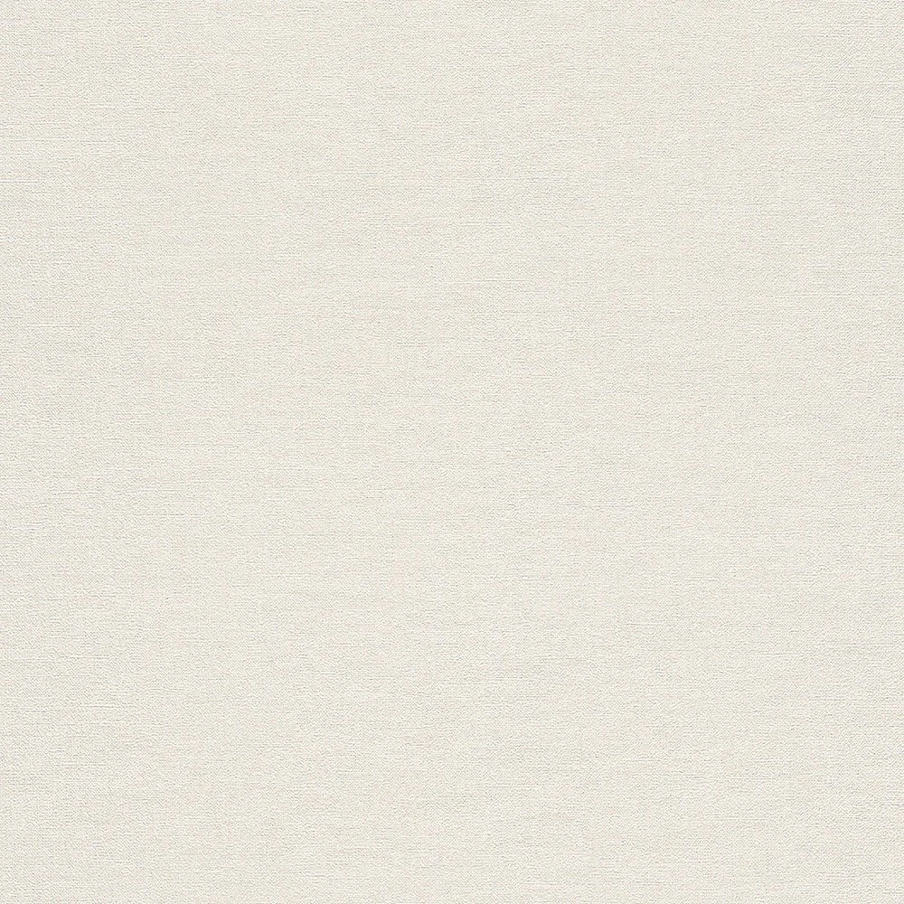 Rasch Wallpaper vinyl 449808 beige textile