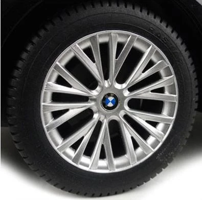 RASTAR automodelis valdomas 1:12 Bmw z4, 40300