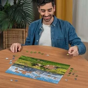 RAVENSBURGER dėlionė Peizažas, 500 det., 12001383