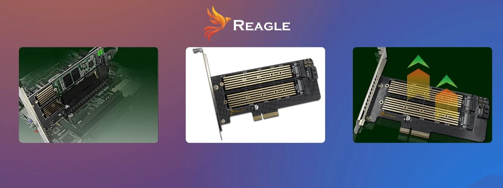 Reagle SSD diskų adapteris M.2 PCIe 4.0 X4 64 Gbps 2 viename NVMe SATA perėjimo plokštė