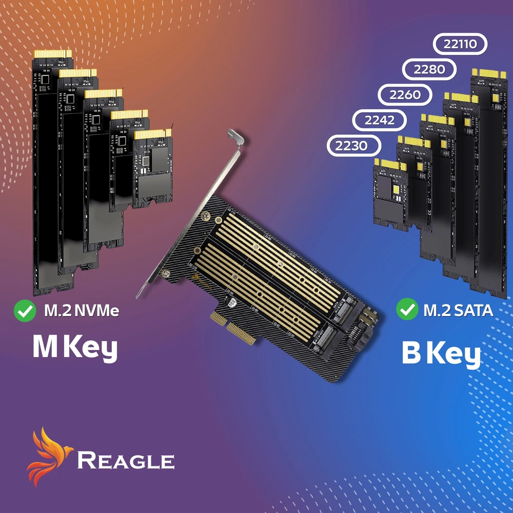 Reagle SSD diskų adapteris M.2 PCIe 4.0 X4 64 Gbps 2 viename NVMe SATA perėjimo plokštė