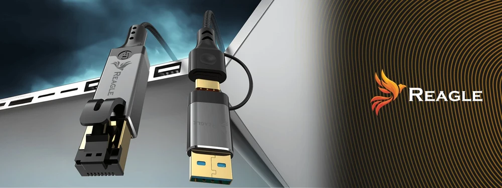 Reagle Tinklo kabelis ETHERNET 2W1 USB-C USB-A LAN laidui RJ45 1Gb/s 3M