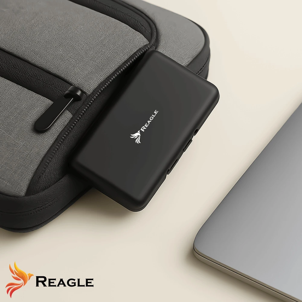 Reagle Dėžutė apsauginis dėklas 4 M.2 SSD NVME SATA diskams iš EVA putų