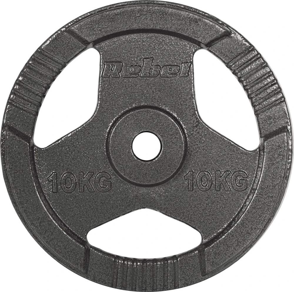 Ketaus svarelių rinkinys 2x10kg, skylė 31mm, plokštė su rankenomis, REBEL ACTIVE