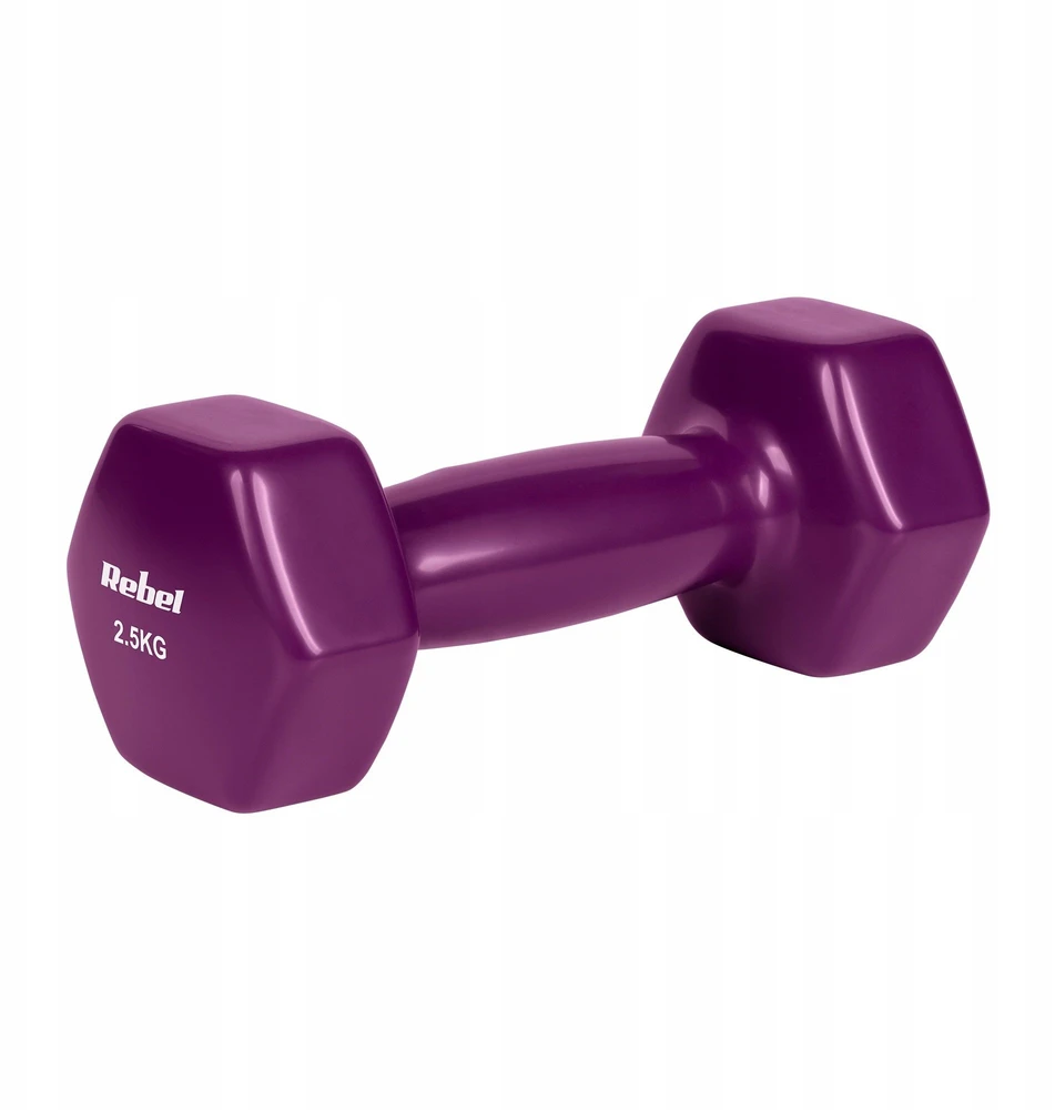 ŠEŠIAKAMPIAI ketaus vinilo hanteliai 2 x 2.5kg, REBEL ACTIVE