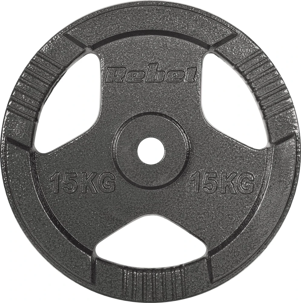 Ketaus svarelių rinkinys 2x15kg, skylė 31mm, plokštė su rankenomis, REBEL ACTIVE