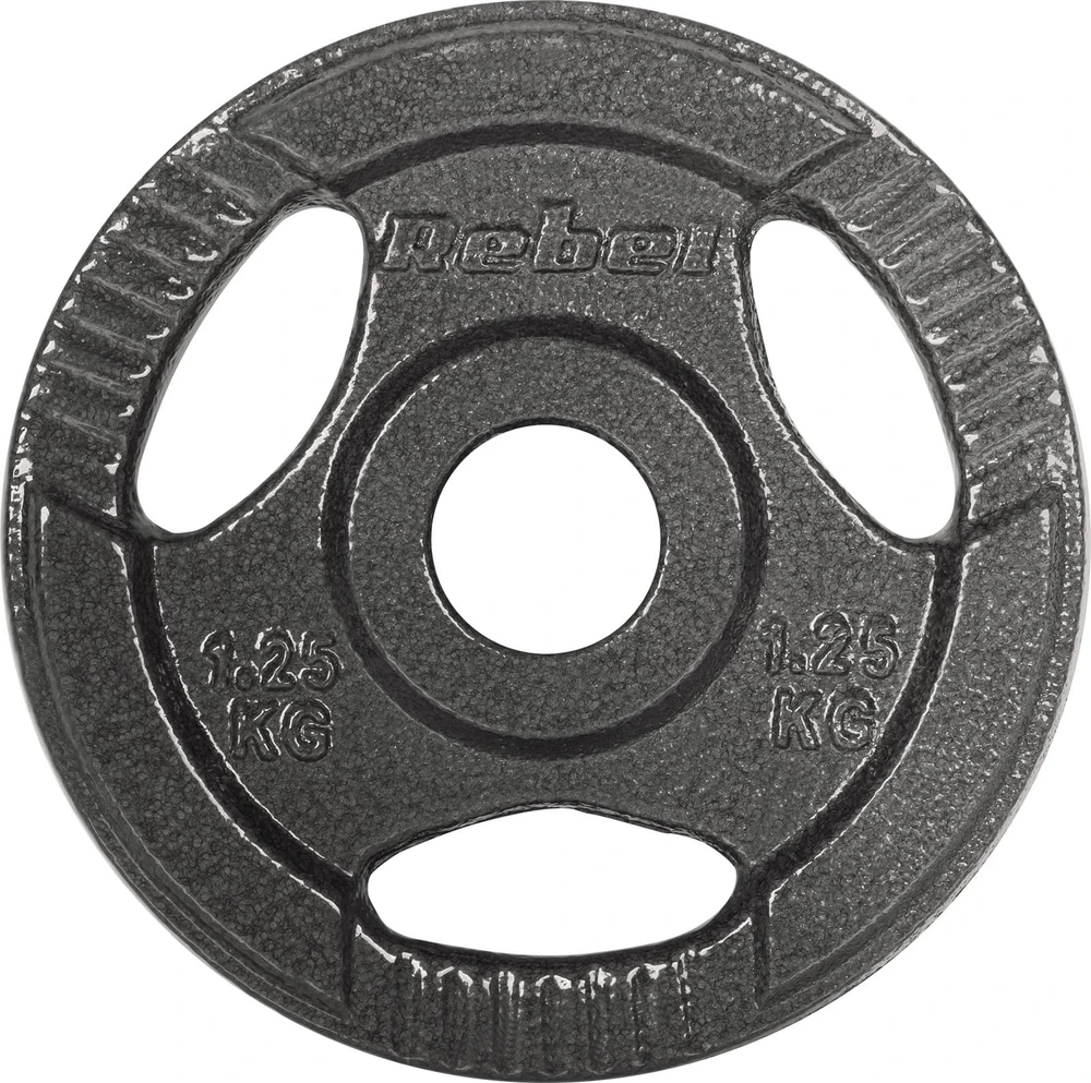 Ketaus svarelių rinkinys 4x1.25kg, skylė 31mm, plokštė su rankenomis, REBEL ACTIVE