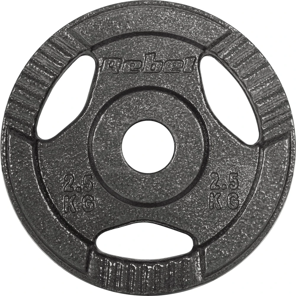Ketaus svarelių rinkinys 4x2.5kg, skylė 31mm, plokštė su rankenomis, REBEL ACTIVE