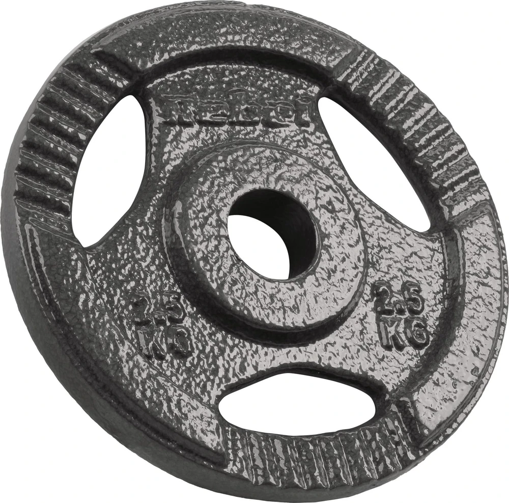 Ketaus svarelių rinkinys 4x2.5kg, skylė 31mm, plokštė su rankenomis, REBEL ACTIVE